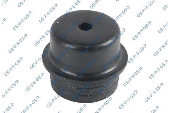 GSP-535555