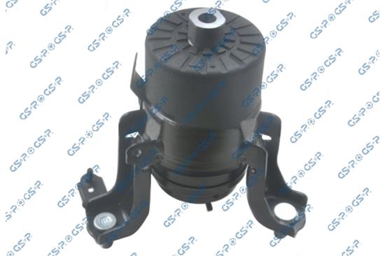 GSP-539806