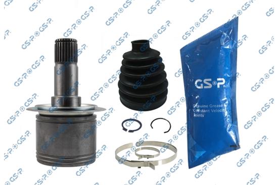 GSP-635069